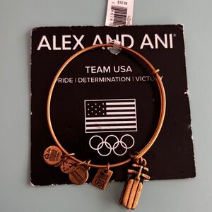 Alex and Ani Team USA Olympic Sled